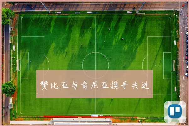 赞比亚与肯尼亚携手共进