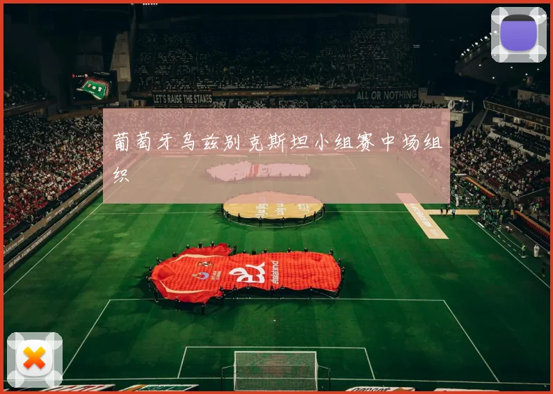 葡萄牙乌兹别克斯坦小组赛中场组织