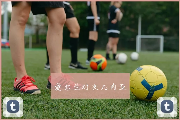 爱尔兰对决几内亚