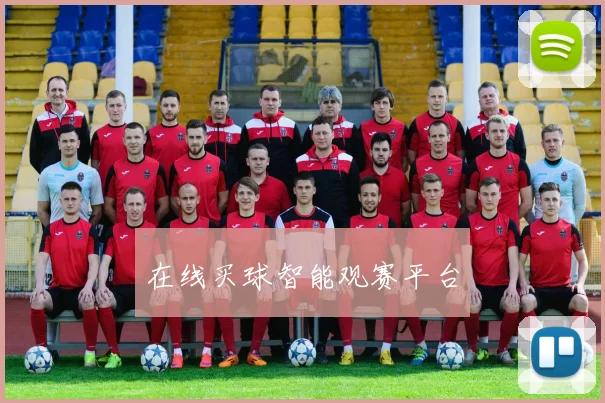 在线买球智能观赛平台