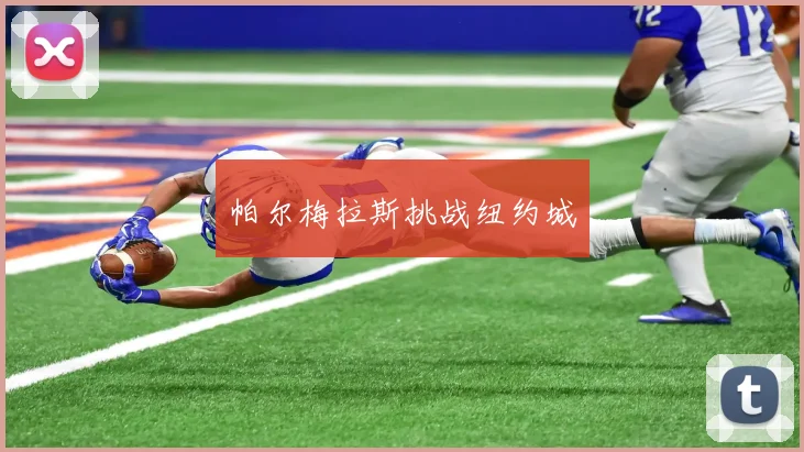 帕尔梅拉斯挑战纽约城