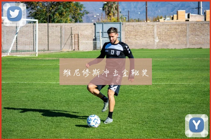维尼修斯冲击金靴奖