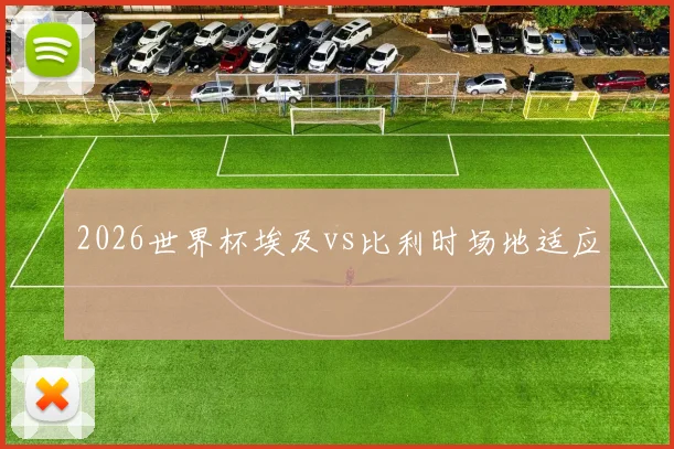 2026世界杯埃及vs比利时场地适应