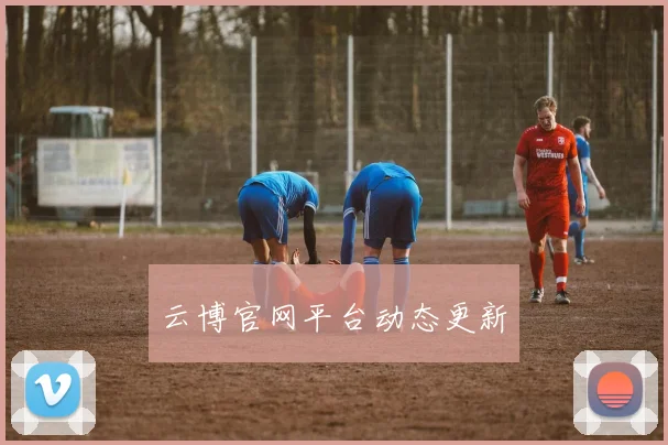 云博官网平台动态更新