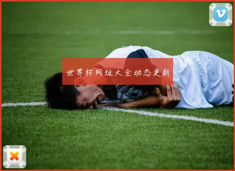 世界杯网址大全动态更新