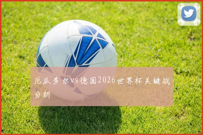 厄瓜多尔vs德国2026世界杯关键战分析