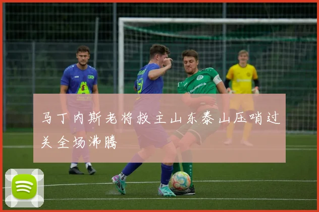 马丁内斯老将救主山东泰山压哨过关全场沸腾
