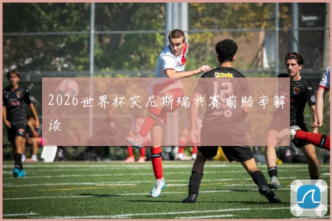 2026世界杯突尼斯瑞典赛前赔率解读