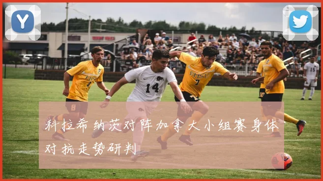 科拉希纳茨对阵加拿大小组赛身体对抗走势研判