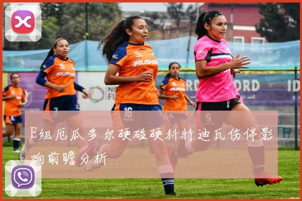 E组厄瓜多尔硬碰硬科特迪瓦伤停影响前瞻分析