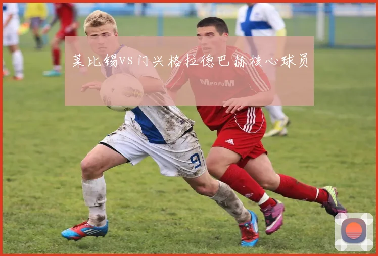 莱比锡vs门兴格拉德巴赫核心球员